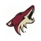 Arizona Coyotes