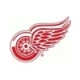 Detroit Red Wings