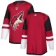 Miesten Arizona Coyotes Blank Pelipaita Maroon Authentic