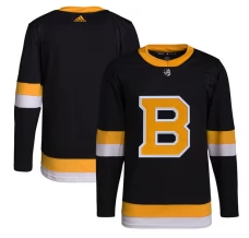Miesten Boston Bruins Blank Pelipaita Primegreen Musta Authentic Vaihtoehtoinen