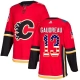 Miesten Calgary Flames Johnny Gaudreau 13 Pelipaita USA Flag Fashion Punainen Authentic