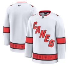 Miesten Carolina Hurricanes Blank Pelipaita Valkoinen Premium Vieras