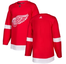 Miesten Detroit Red Wings Blank Pelipaita Punainen Authentic