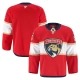 Miesten Florida Panthers Blank Pelipaita Punainen Authentic Pro Koti