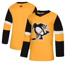Miesten Pittsburgh Penguins Blank Pelipaita Kulta Authentic Vaihtoehtoinen