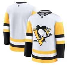 Miesten Pittsburgh Penguins Blank Pelipaita Valkoinen Premium Vieras
