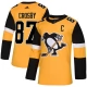 Miesten Pittsburgh Penguins Sidney Crosby 87 Pelipaita 2018-19 Kulta Authentic