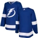 Miesten Tampa Bay Lightning Blank Pelipaita Sininen Authentic