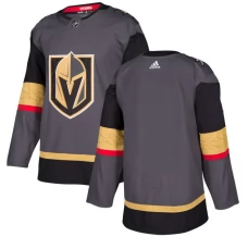 Miesten Vegas Golden Knights Blank Pelipaita Harmaa Authentic
