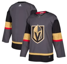 Miesten Vegas Golden Knights Blank Pelipaita Harmaa Authentic Vaihtoehtoinen