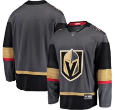 Miesten Vegas Golden Knights Blank Pelipaita Harmaa Breakaway Vaihtoehtoinen