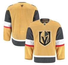 Miesten Vegas Golden Knights Blank Pelipaita Kulta Authentic Pro Koti