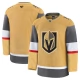 Miesten Vegas Golden Knights Blank Pelipaita Kulta Premium Koti