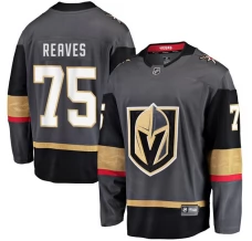 Miesten Vegas Golden Knights Ryan Reaves 75 Pelipaita Harmaa Breakaway Vaihtoehtoinen